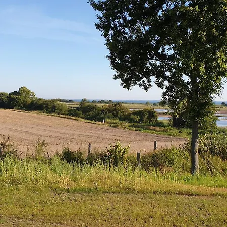 Nyaraló Reetdorf Geltinger Birk Kuenstlerkate Lagune